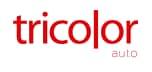 TriColor Auto Group, LLC
