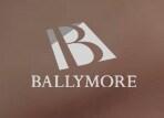 Ballymore Development Management Ltd
