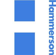 Hammerson plc