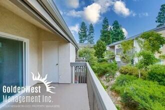 Frédéric Level, Sébastien Rodde, Nora Coltey, Auro